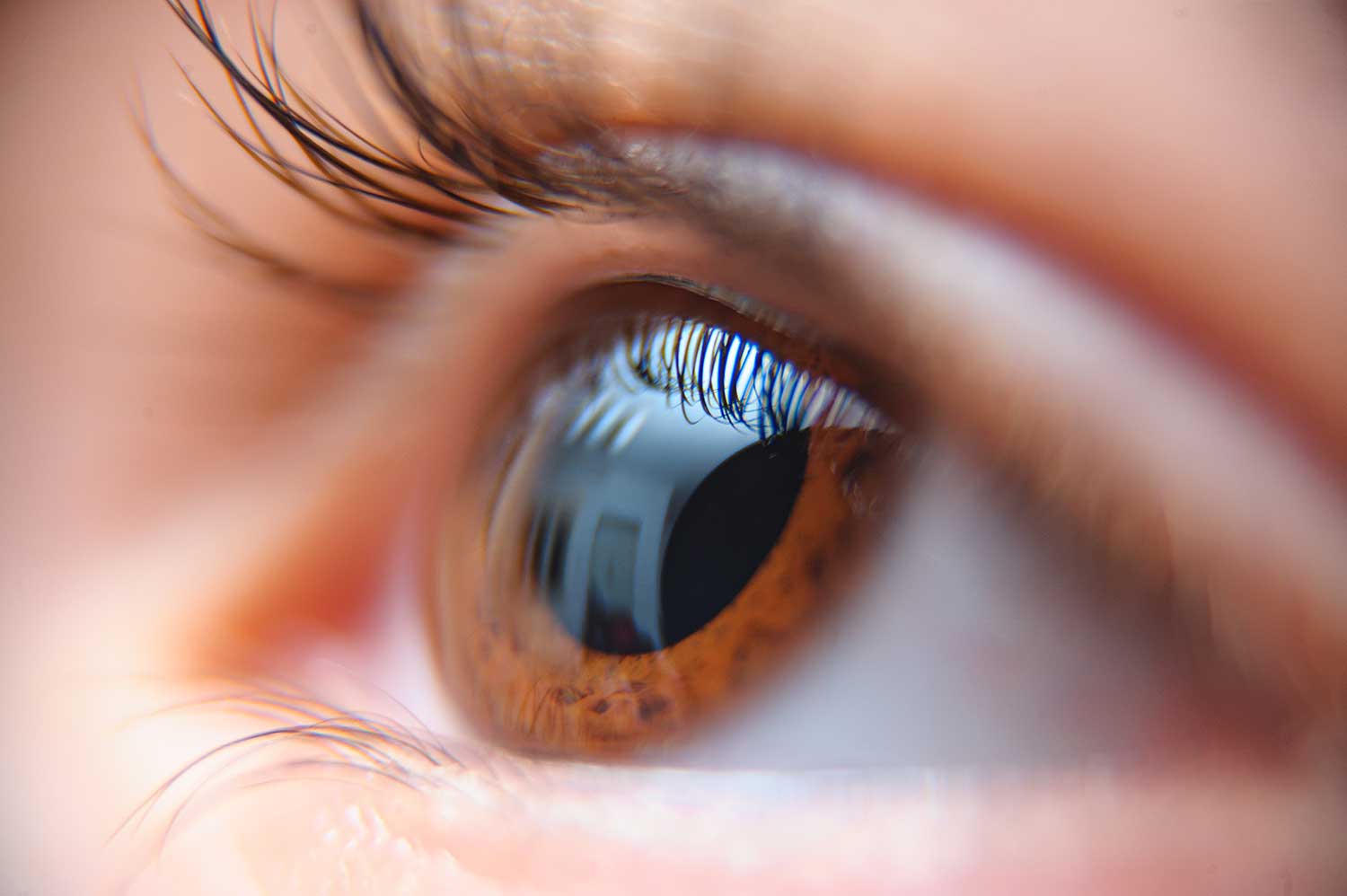 Layanan Retina